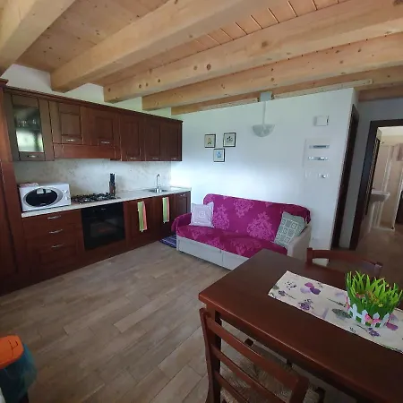 Buine Tiere * Cercivento