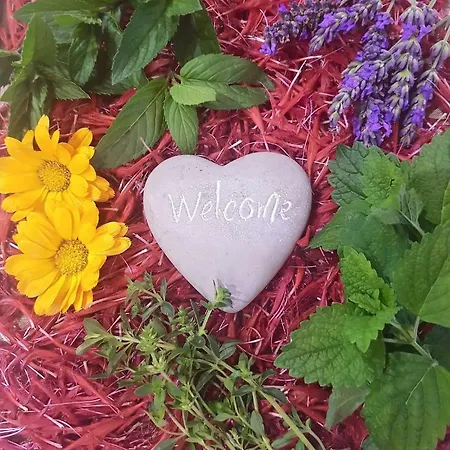 Buine Tiere Nyaraló Cercivento